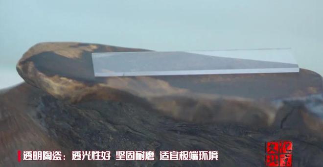 小小瓷片的“前世今生”(图5)
