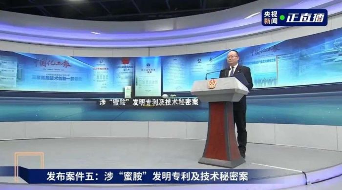 糊了麻将川金象“蜜胺”案入选“2023年度十大案件”(图3)
