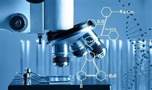 化工品景气或进一步上行 2023我国化工品出口旺季竞争格局(图5)