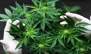 工业陶瓷行业分析 工业陶瓷发展现状(图5)