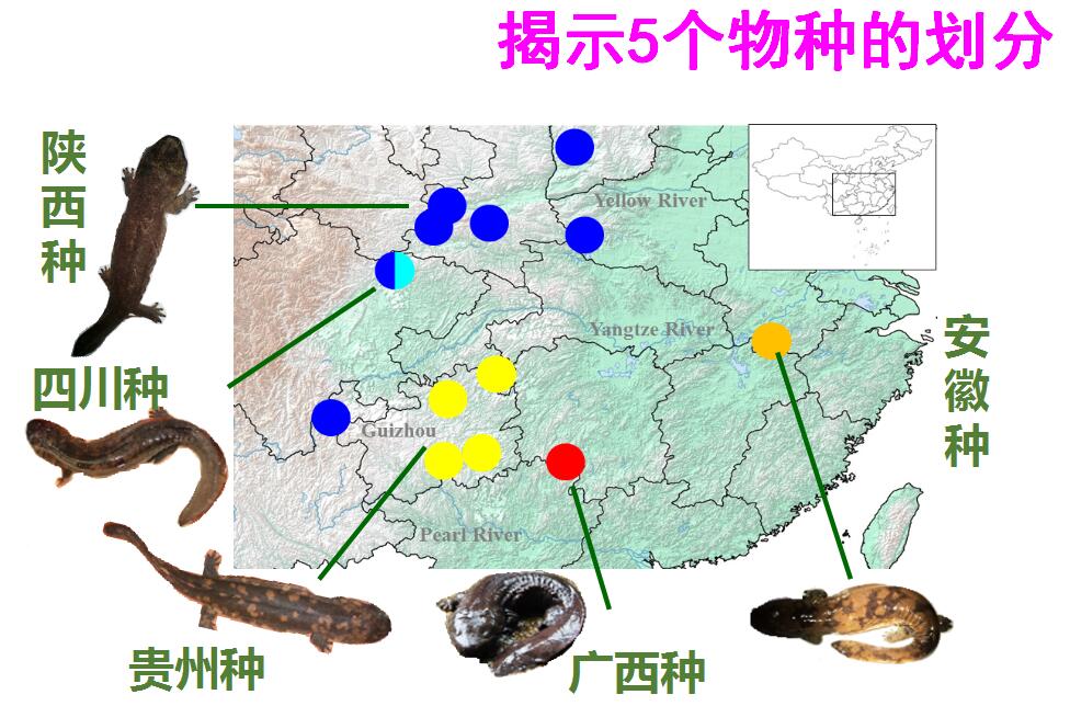 赞!上半年这些科学新成果或改变你我生活(图6)